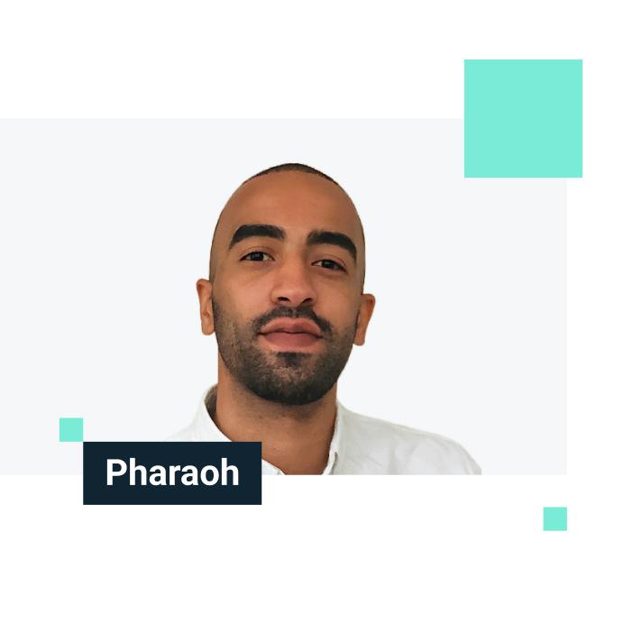 Article: Meet Pharaoh W...